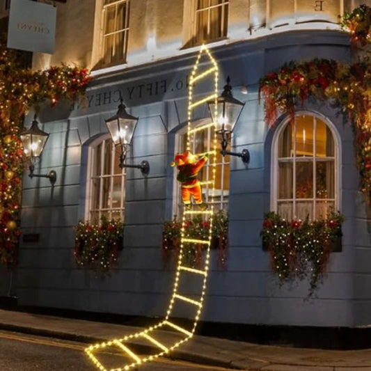 Christmas LED ladder exterior decor